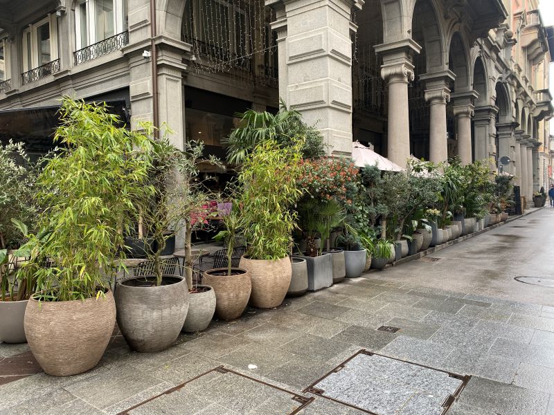 スイス・ルガーノの植木販売店２