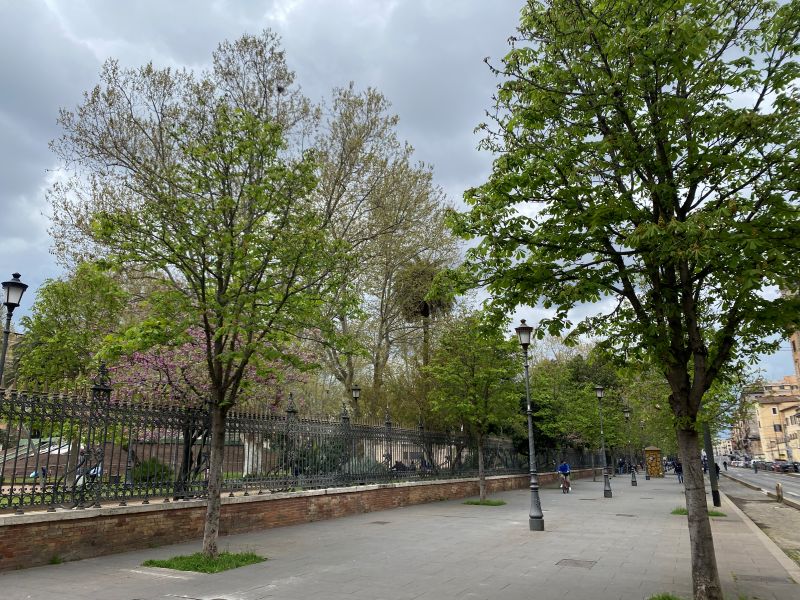 イタリア・ローマの庭園の植栽配置