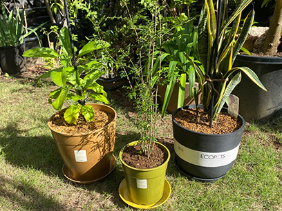 <strong>サスティナブル＆エコロジー<br>おしゃれな植木鉢のご紹介</strong>