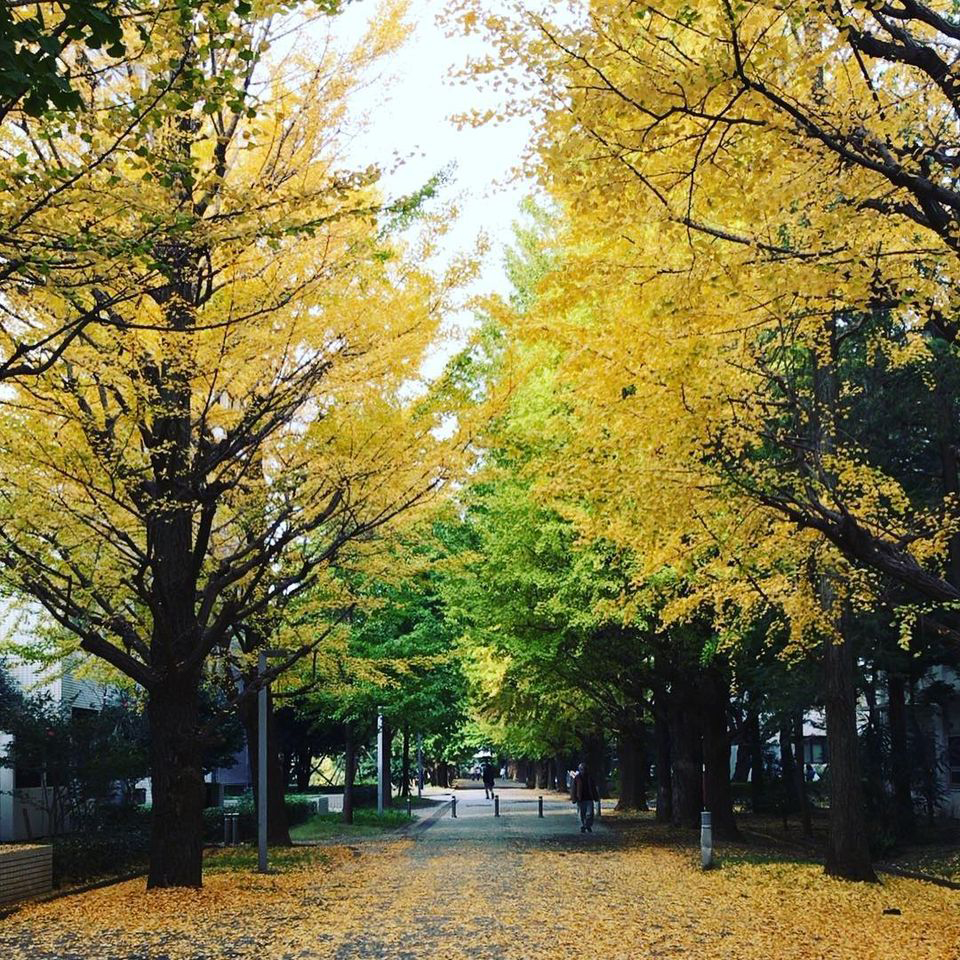 東京都目黒区