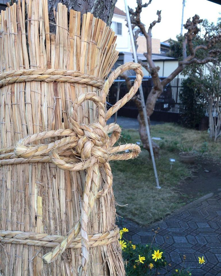 <b>松のこも巻きを行いました</b>