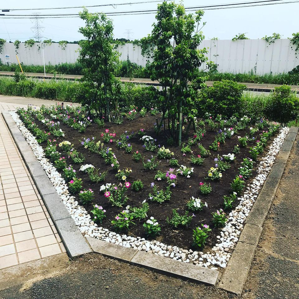 <b>初夏に涼しさの感じられる花壇を制作しました<!--初夏の涼しい色の花壇を制作しました。--></b>