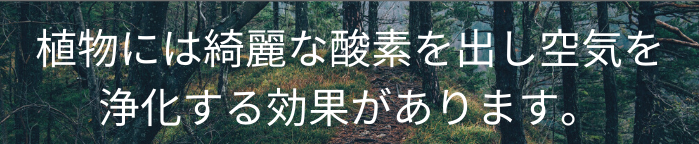 植物には綺麗な酸素を出し空気を浄化する効果があります。