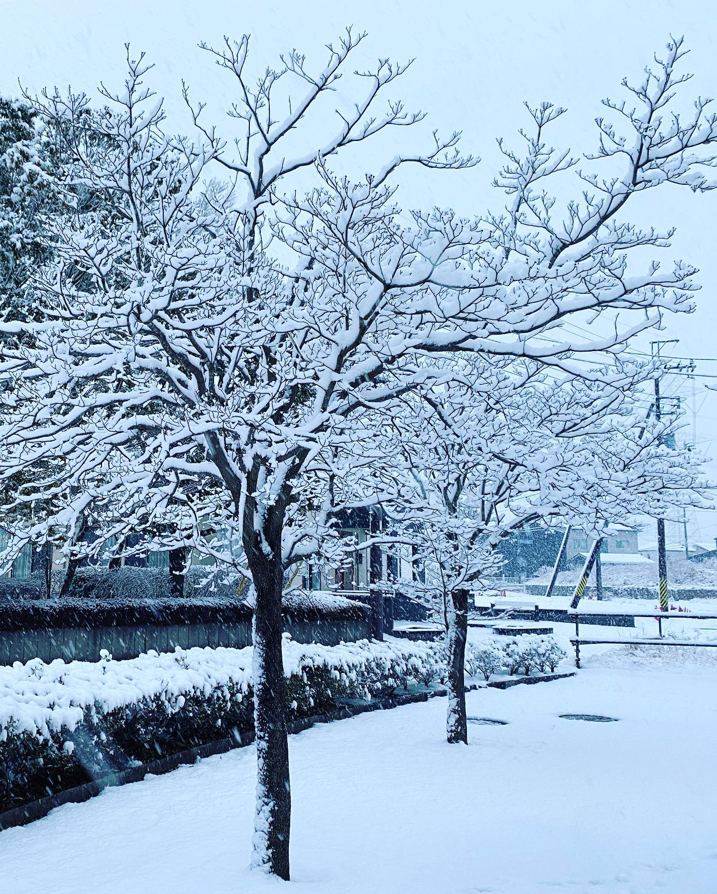 美しい雪景色