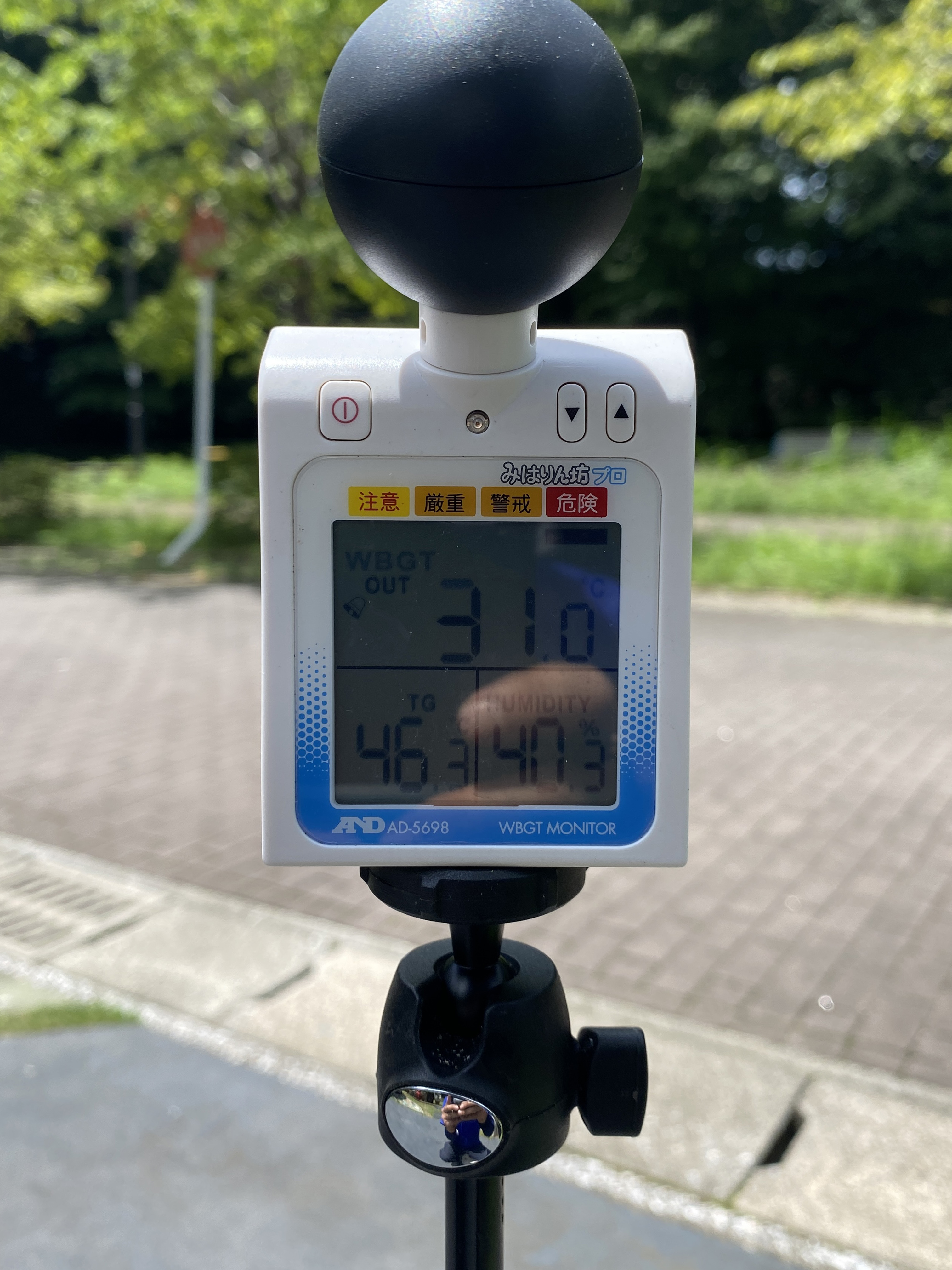 夏の庭を涼しく過ごす方法をご紹介します