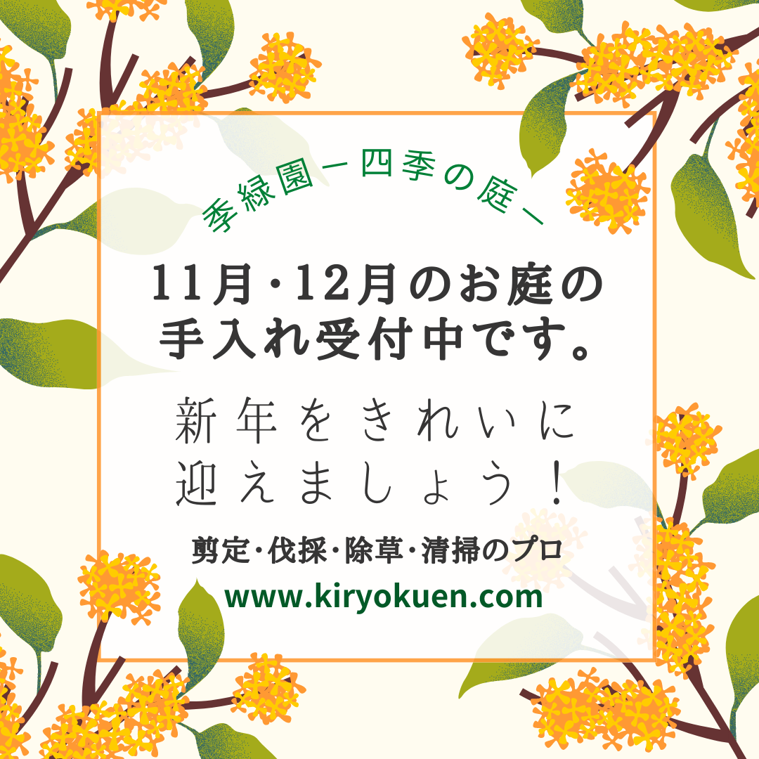 <b>秋・年末の庭の手入れ受付中です</b>