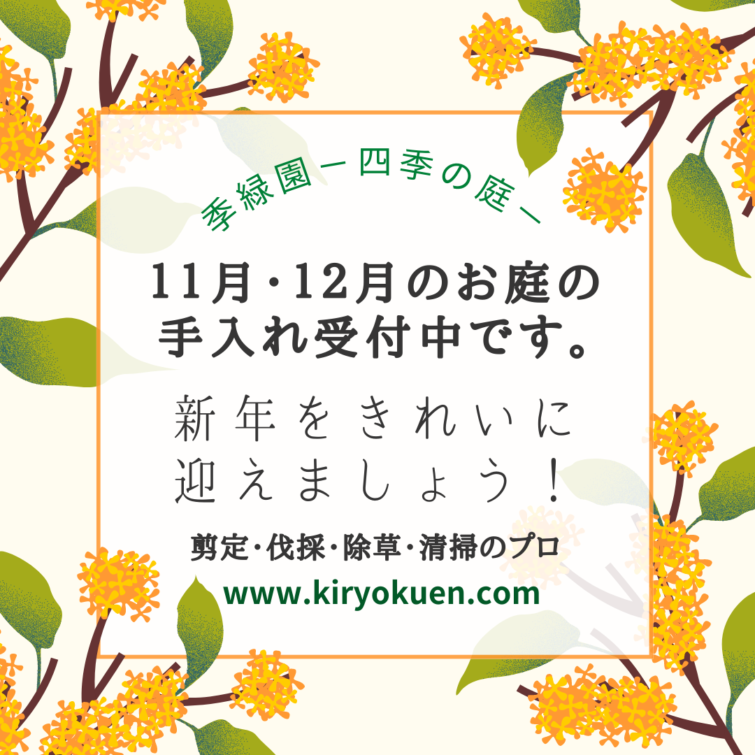 秋・年末の庭の手入れ受付中です