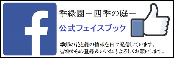 季緑園のフェイスブックバナー