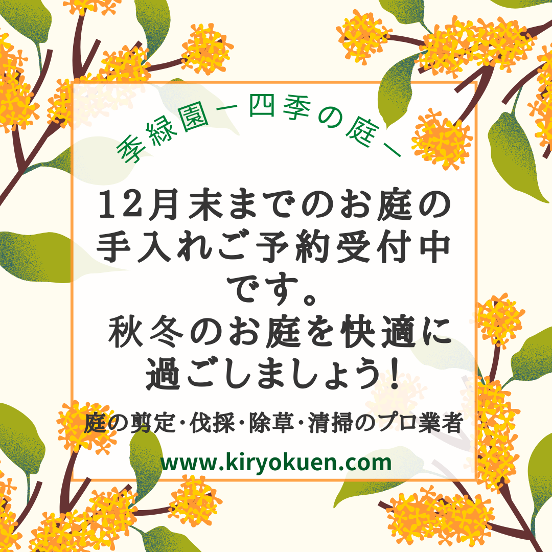 庭の剪定・伐採・除草・清掃のプロ業者季緑園