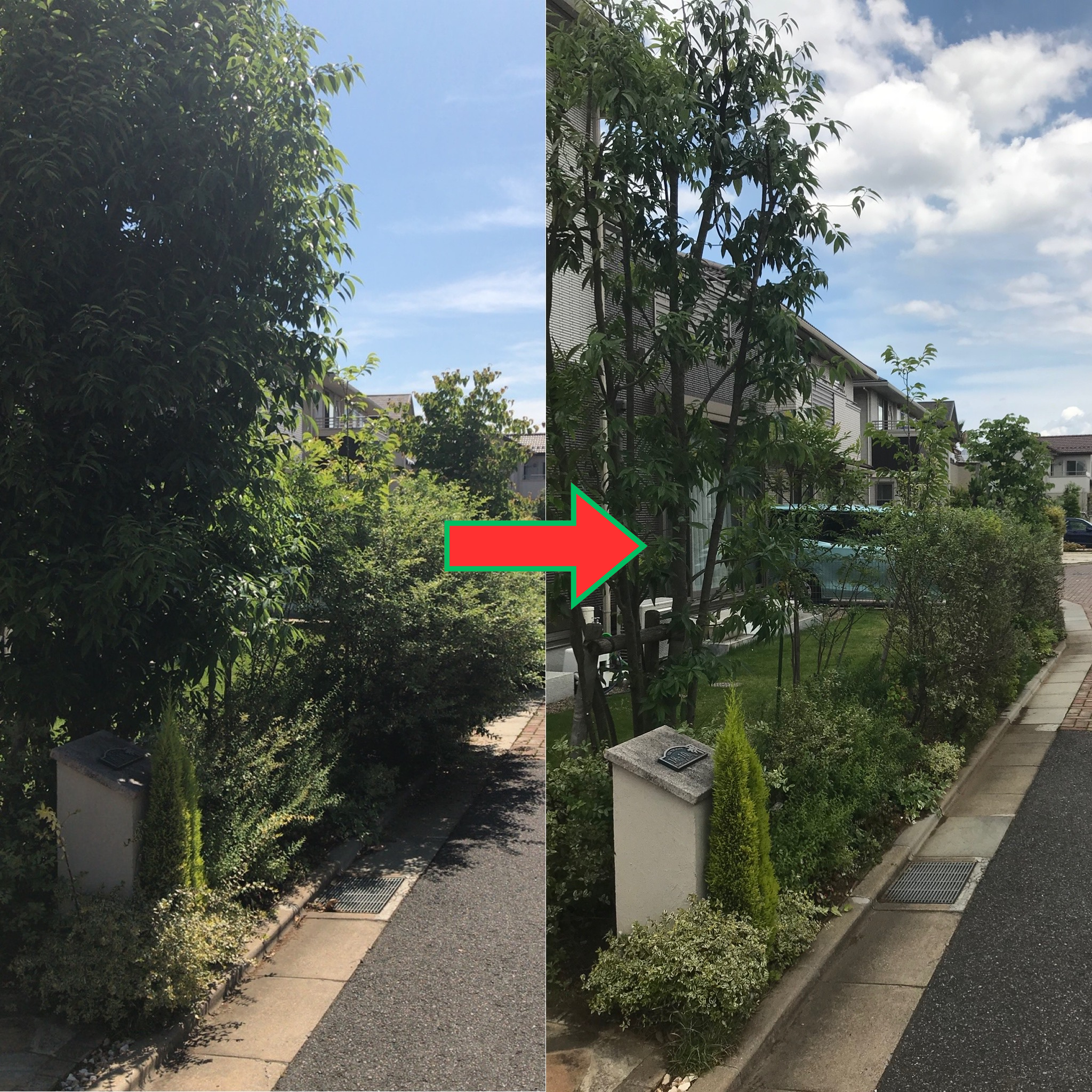 初夏の剪定作業・庭の清掃・管理