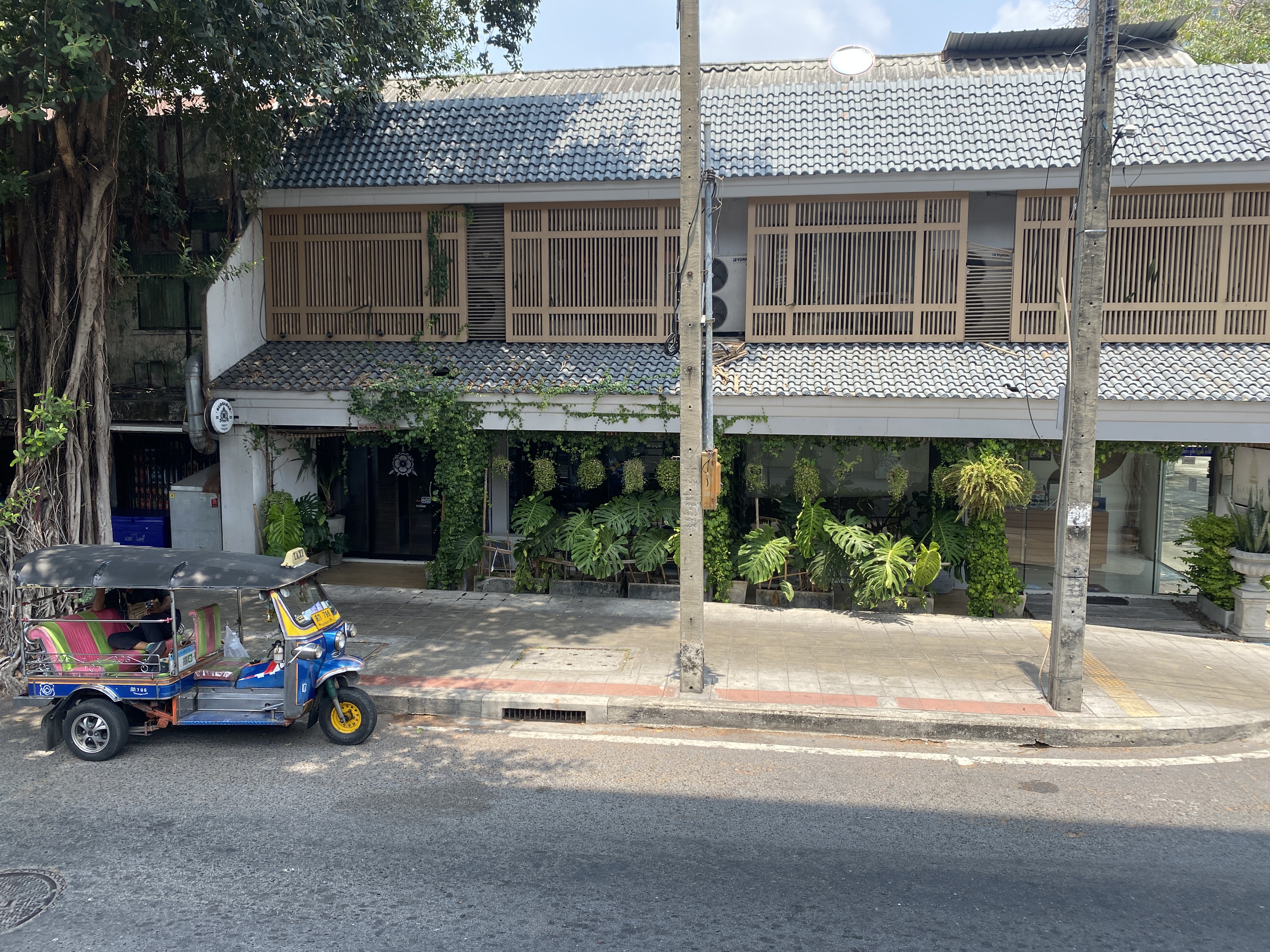 タイの暮らしと植物