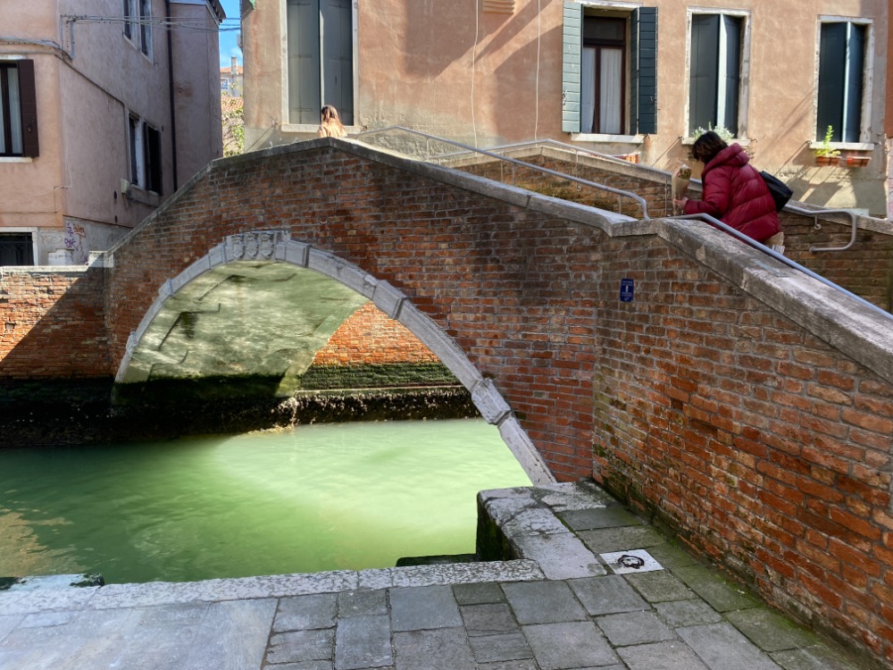イタリア・ヴェネチアの古い街並み風景と植栽