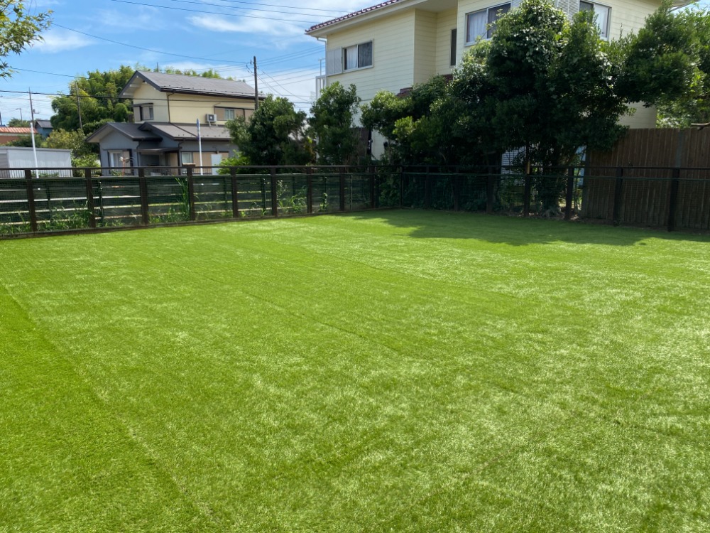 ドックラン＆多目的広場の人工芝工事完成２