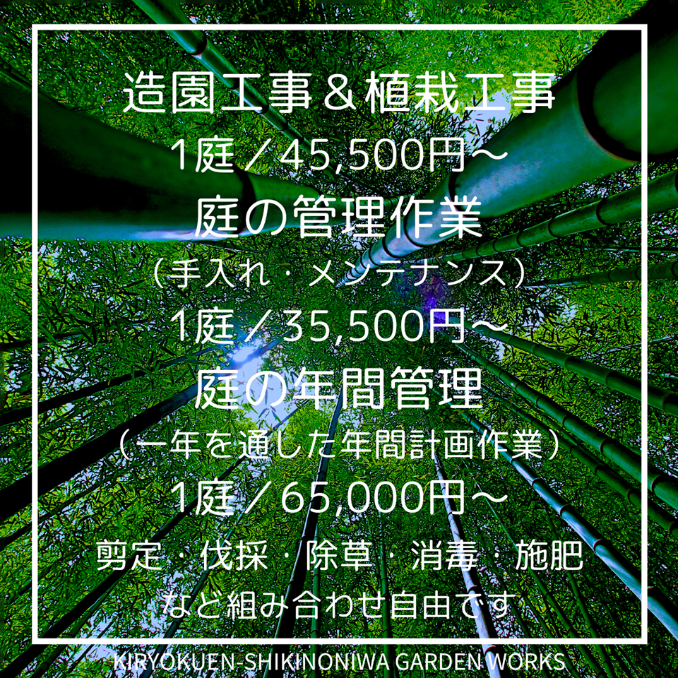 八千代市・印西市周辺の造園工事＆植栽工事の料金（1庭45,500円～）、庭の手入れ＆メンテナンス料金（1庭35,500円～）、庭の年間管理計画作業料金（1庭65,000円～）の料金の目安。剪定・伐採・除草・消毒・施肥の組み合わせ可能です。