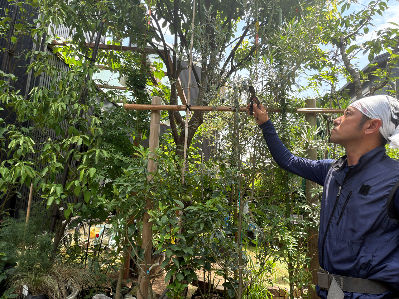<strong>季緑園－四季の庭－植木職人のこだわりの剪定鋏 八挺（はっちょう）の愛用道具をご紹介します</strong>
