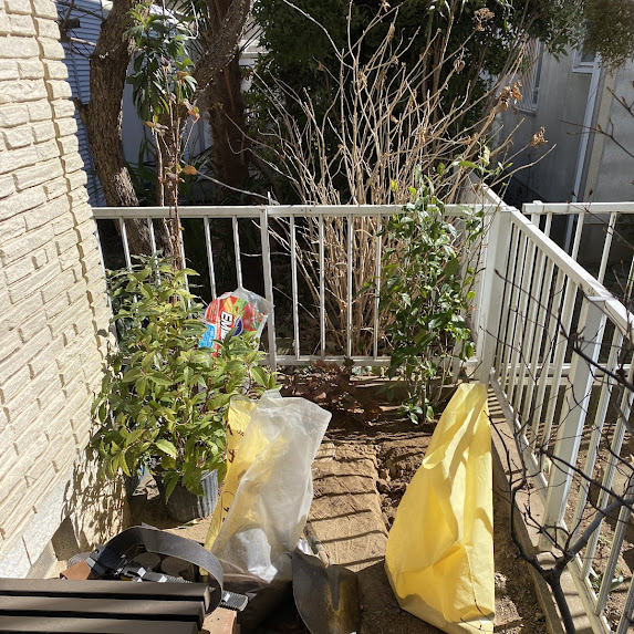 植木に有機肥料を土壌改良を兼ねた施肥作業