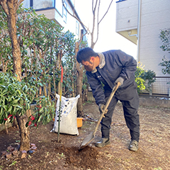 施肥（土壌注入肥料）・活力剤