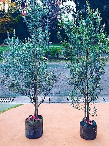 植木販売&植栽工事
